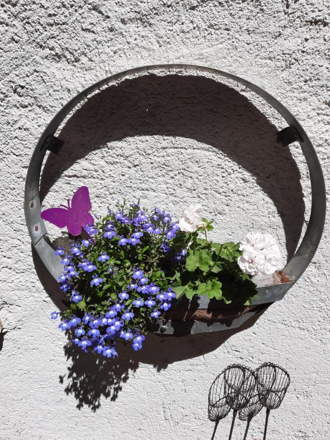 Tourouzelle Maison Du Coquelicot מראה חיצוני תמונה