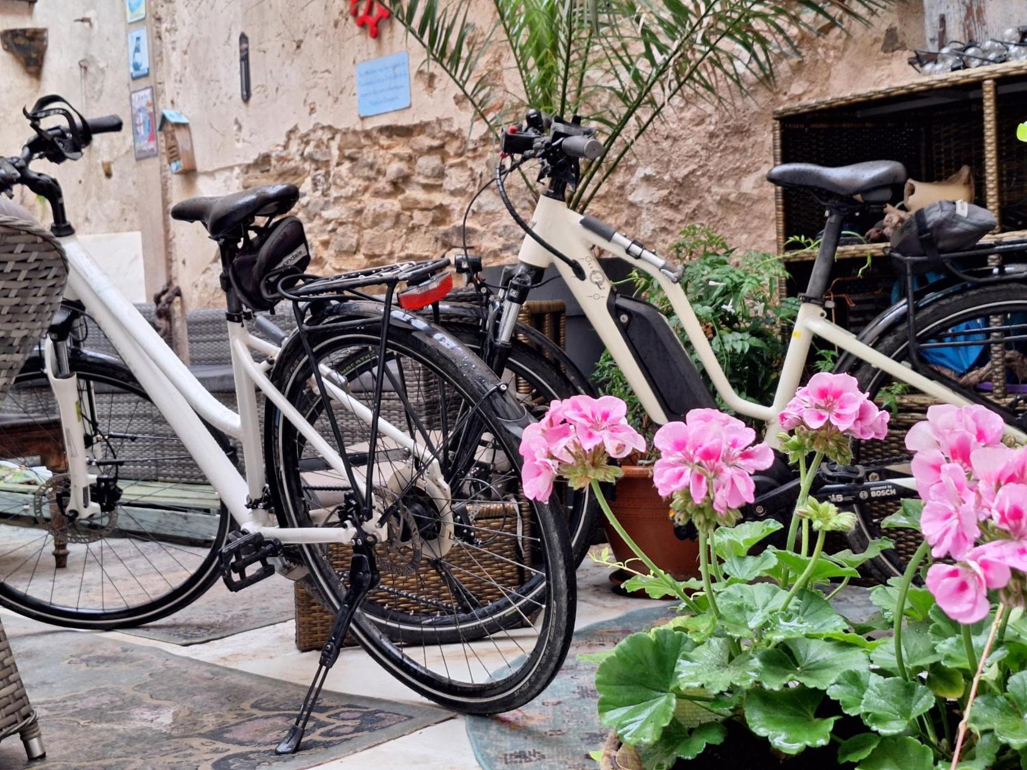 Tourouzelle Maison Du Coquelicot מראה חיצוני תמונה